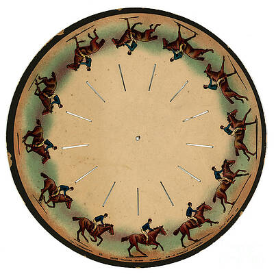 Wall Art - Photograph - Muybridge Zoopraxiscope Horse by Photo Researchers