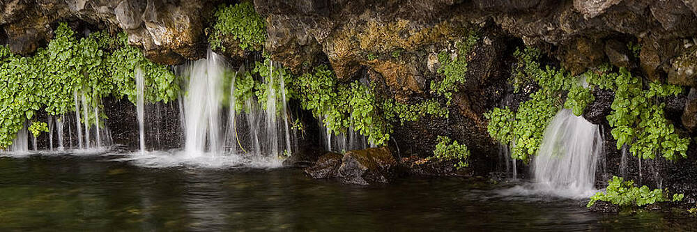 Natural Spring by Skye Fassett