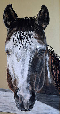 Neighbors over the Fence by Ann Marie Chaffin Neighbors over the Fence by Ann Marie Chaffin