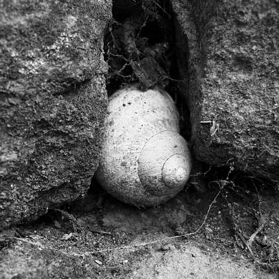 Nestled by Michael Standen Smith Nestled by Michael Standen Smith