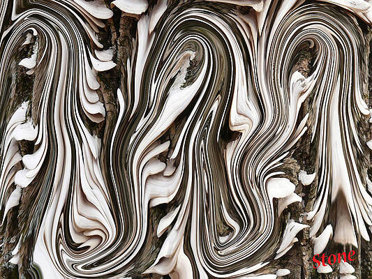 Newspapers by Miraychel Stone