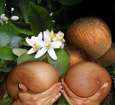 Fruits erotic
