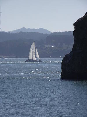 Ocean Sail by Meghann Porter