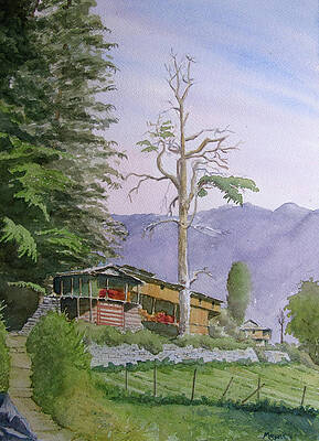 Old Tree at Jana by Mayank M M Reid Old Tree at Jana by Mayank M M Reid