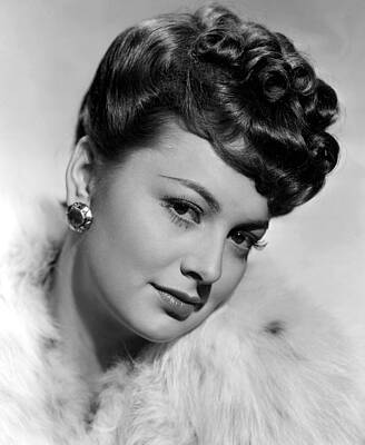 Wall Art - Photograph - Olivia De Havilland, 1942 by Everett