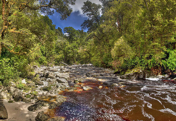 Wall Art - Photograph - Oparara River In Arches Kahurangi Np by Colin Monteath