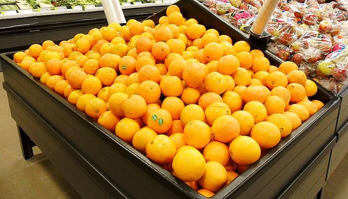 Oranges Galore by Stacie Kostecki