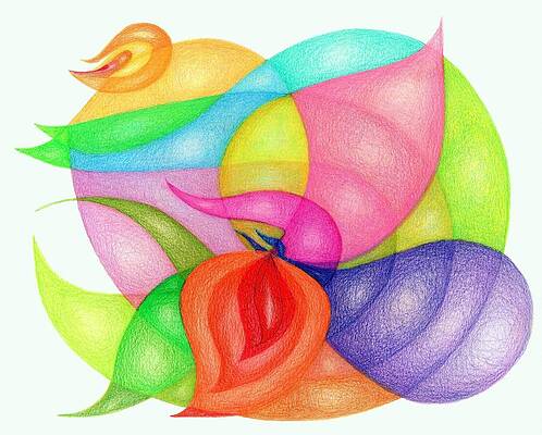 Birds Inverted Colors by Tatyana Zverinskaya