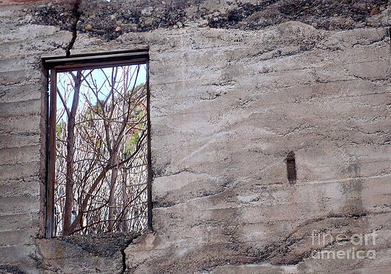 Wall Art - Photograph - Outlook by Jim Simak