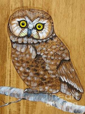Owl   by John  Lang