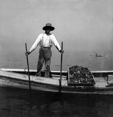 Old Man Fishing Photos for Sale - Fine Art America