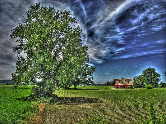 Wall Art - Photograph - Patchwork Quilt by William Fields
