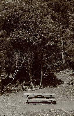 Wall Art - Photograph - The Picnic Table by Lorraine Devon Wilke
