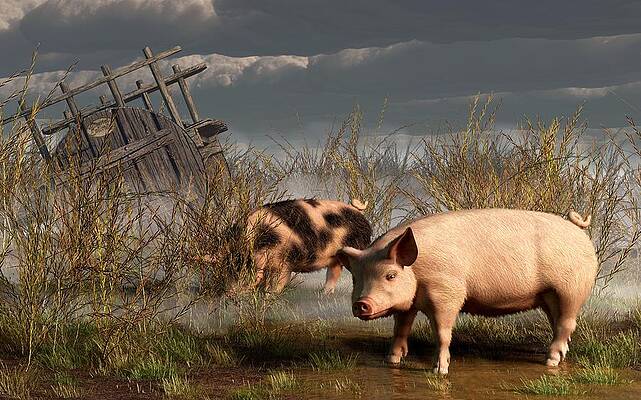 pigs-after-a-storm-daniel-eskridge.jpg