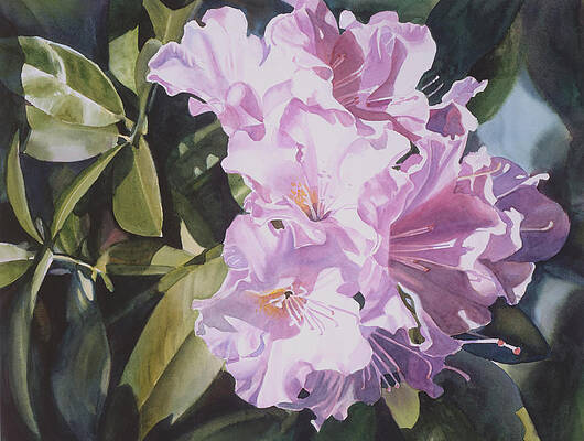 Image by Shutterstock Watercolor Rhododendron Flower Women's Tee 