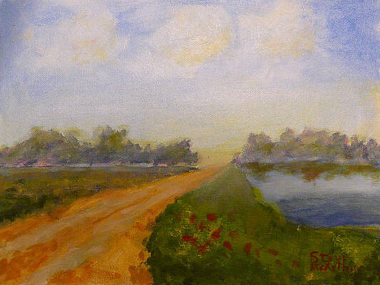 Poppy Road by Steve McArthur