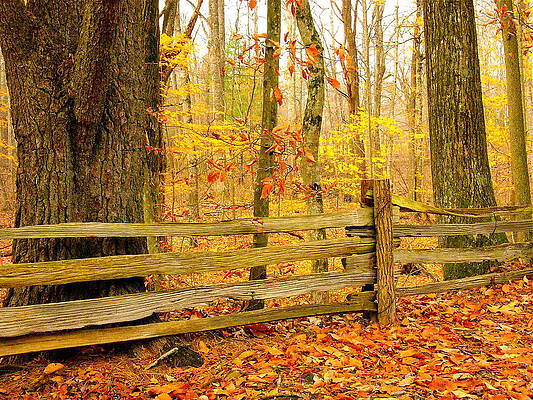 Post and Rail by Parrish Todd Post and Rail by Parrish Todd
