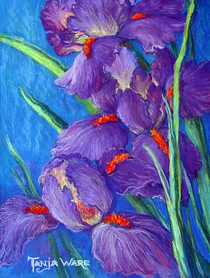 Iris Paintings (Page #19 of 35) | Fine Art America
