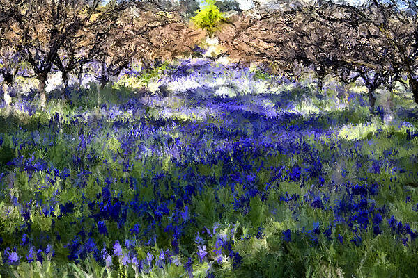 Purple Patch by John Monteath