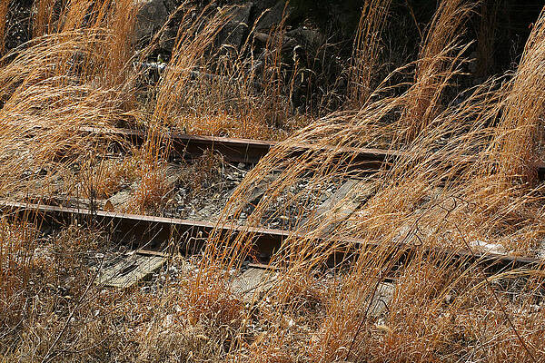 Rails Retired by Theresa Johnson Rails Retired by Theresa Johnson