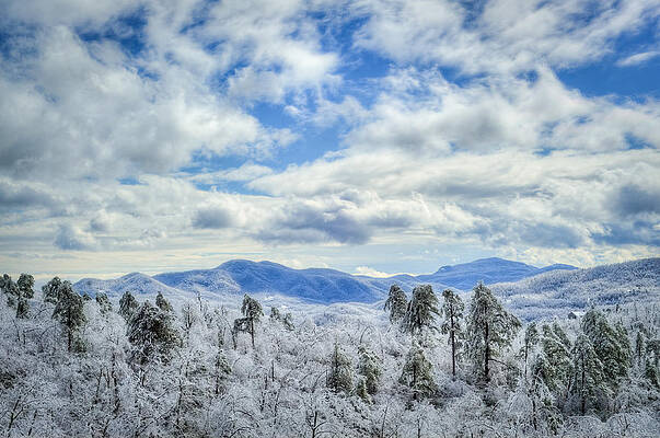 Wall Art - Photograph - Raven's View in Winter by Joye Ardyn Durham