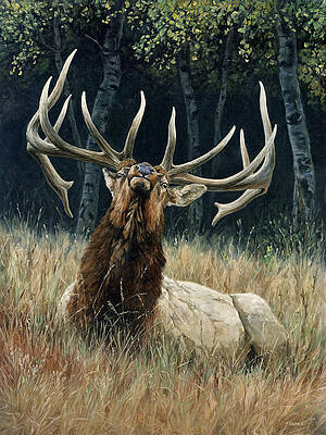 Ready for Trouble by Peter Eades Ready for Trouble by Peter Eades