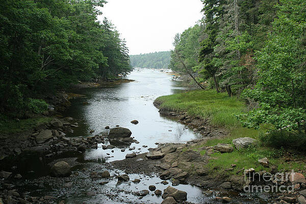 Wall Art - Photograph - Receding Tide In Maine Part Of A Series by Ted Kinsman