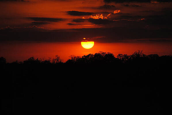 Red Sunset by Lisa Moore