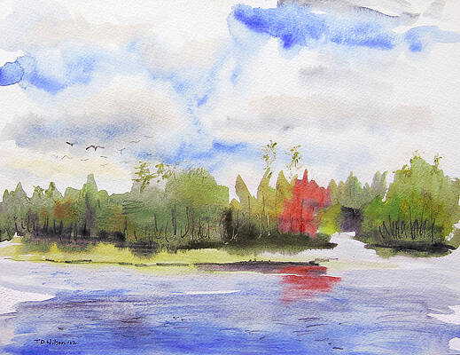 Red tree on lake by TD Wilson Red tree on lake by TD Wilson