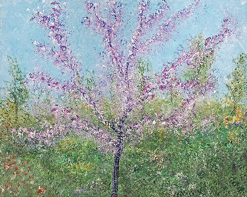 Redbud by Mr Dill Redbud by Mr Dill