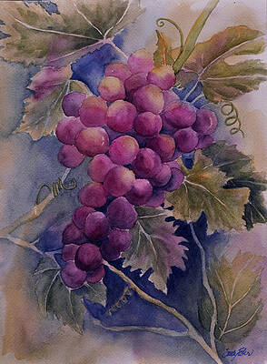 Ripening on the Vine by Sandy Fisher Ripening on the Vine by Sandy Fisher