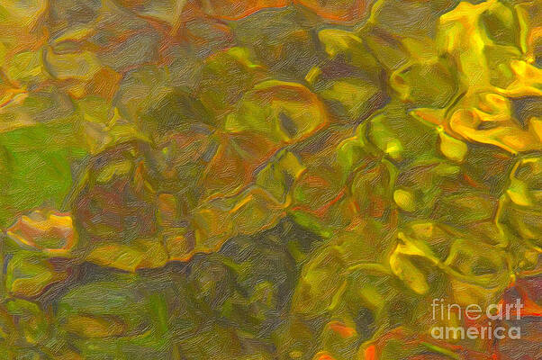 Wall Art - Photograph - River Light Patterns II by Clarence Holmes