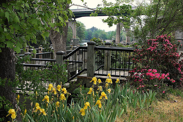 Riverwalk in Spring by Sandra Anderson Riverwalk in Spring by Sandra Anderson