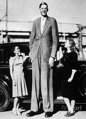 Wall Art - Photograph - Robert Pershing Wadlow, Tallest Man by Science Source