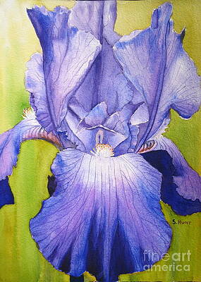Iris Paintings (Page #19 of 35) | Fine Art America