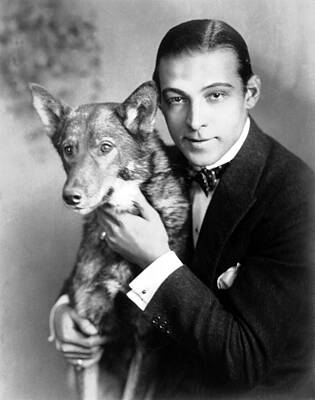 Wall Art - Photograph - Rudolph Valentino, Circa 1920s by Everett