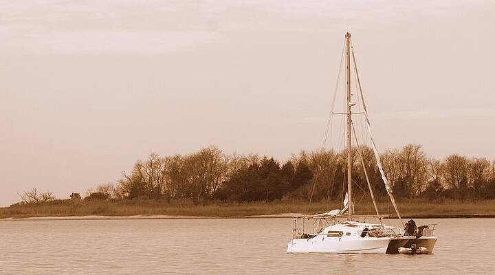 Sailboat on Chesapeake by Theresa Johnson Sailboat on Chesapeake by Theresa Johnson