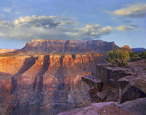 Wall Art - Photograph - Sandstone Cliffs And Canyon Seen by Tim Fitzharris
