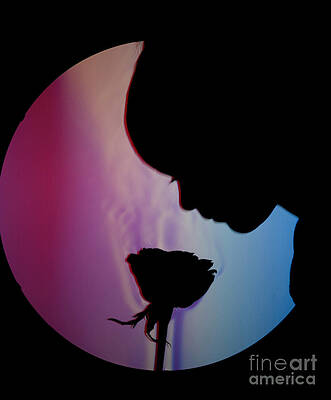 Wall Art - Photograph - Schlieren Image Of A Boy Smelling A Rose by Ted Kinsman
