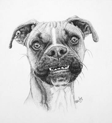 Scout by Mike Ivey Scout by Mike Ivey