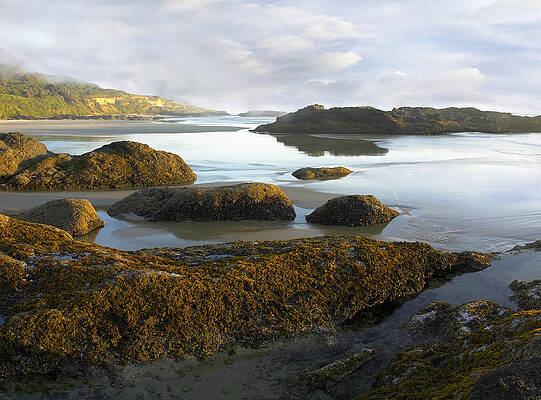 Wall Art - Photograph - Low Tide at Neptune Beach by Tim Fitzharris