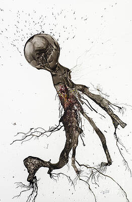 Seedburst 11 by David W Coffin Seedburst 11 by David W Coffin
