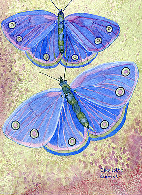 Self Expression Butterfly by Charlotte Garrett Self Expression Butterfly by Charlotte Garrett