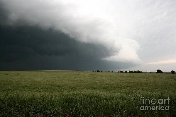 Wall Art - Photograph - Shelf Cloud by Science Source
