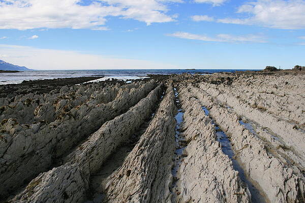 Shore Patterns by Jan Lawnikanis Shore Patterns by Jan Lawnikanis