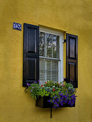 Shutters and Window Boxes by Sandra Anderson Shutters and Window Boxes by Sandra Anderson