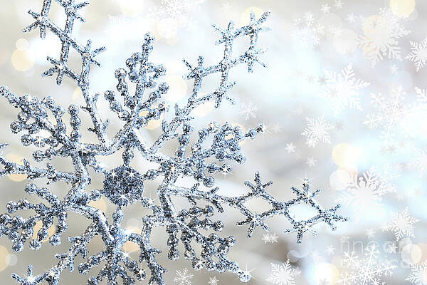 Wall Art - Photograph - Silver blue snowflake  by Sandra Cunningham