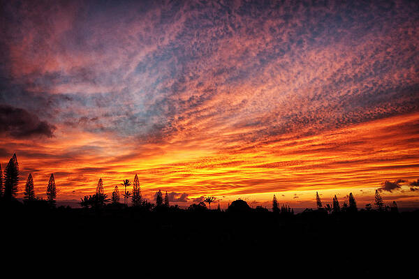 Skies on Fire by Brent Schlea Skies on Fire by Brent Schlea