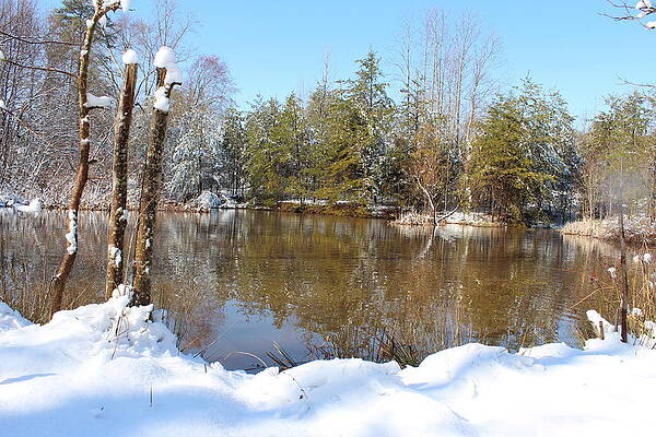 Snow pond by Nancy Mell