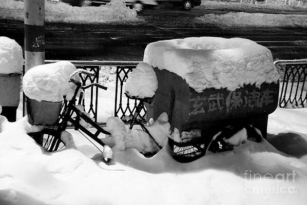 Wall Art - Photograph - Snowed in by Dean Harte